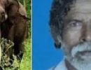 പാലക്കാട് കാട്ടാന ആക്രമണത്തിൽ ഒരാൾ മരിച്ചു, മുണ്ടൂരിൽ പ്രതിഷേധം ശക്തം