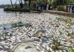 കൊച്ചിയിലെ ജലാശയങ്ങളിൽ ബാക്‌റ്റീരിയ അളവ് അപകടകരം