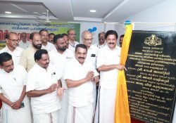 കട്ടപ്പനയാറിൻ്റെ നവികരണ പ്രവൃത്തികൾക്ക് തുടക്കം; മികച്ച രീതിയിൽ ഇറിഗേഷൻ - ടൂറിസം പദ്ധതികൾ നടപ്പാക്കാൻ സാധിച്ചു; മന്ത്രി