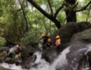 വണ്ണപ്പുറം പട്ടയകുടിയിൽ നിന്നും കാണാതായ വീട്ടമ്മക്കായി തിരച്ചിൽ ഉർജിതമാക്കി പോലീസ്