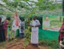 ഓണത്തെ വരവേൽക്കാൻ അരിക്കുഴ ജില്ലാ കൃഷിത്തോട്ടം; പൂക്കളും പച്ചക്കറികളും തയ്യാറായി, ഓണച്ചന്ത 24 ന്