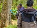 ഇടുക്കിയിലെ കാട്ടാന ആക്രമണം; ഗൃഹനാഥൻ മരിച്ചതിന് പിന്നാലെ നടപടി കടുപ്പിച്ച് വനംവകുപ്പ്