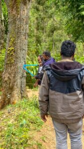 ഇടുക്കിയിലെ കാട്ടാന ആക്രമണം; ഗൃഹനാഥൻ മരിച്ചതിന് പിന്നാലെ നടപടി കടുപ്പിച്ച് വനംവകുപ്പ്