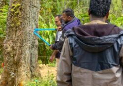 ഇടുക്കിയിലെ കാട്ടാന ആക്രമണം; ഗൃഹനാഥൻ മരിച്ചതിന് പിന്നാലെ നടപടി കടുപ്പിച്ച് വനംവകുപ്പ്