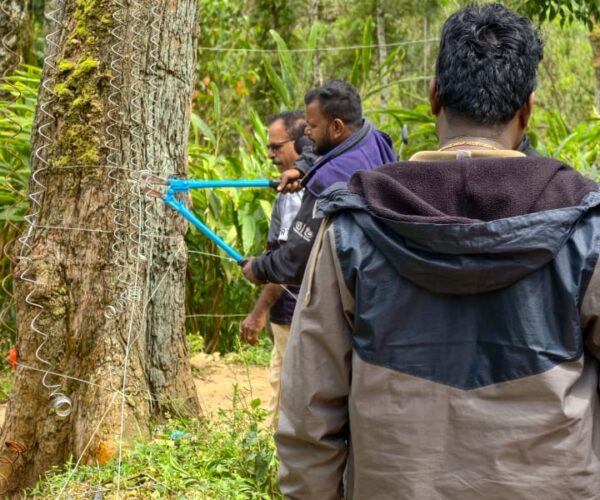 ഇടുക്കിയിലെ കാട്ടാന ആക്രമണം; ഗൃഹനാഥൻ മരിച്ചതിന് പിന്നാലെ നടപടി കടുപ്പിച്ച് വനംവകുപ്പ്