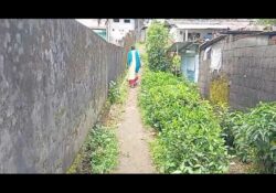 വഴിയില്ലാതെ വലഞ്ഞ് പാമ്പനാറ്റിലെ കുമാരപുരം കോളനി