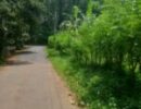 കോടിക്കുളം - ചെരിയംപാറ റോഡ് കയ്യേറ്റം: നടപടി എടുക്കാതെ അധികൃതർ