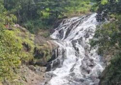 പഴയരിക്കണ്ടം വെള്ളച്ചാട്ടം ടൂറിസം പദ്ധതി യാഥാർഥ്യമാകുമെന്ന പ്രതീക്ഷയിൽ നാട്ടുകാർ